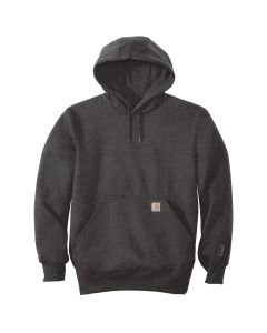 Carhartt Rain Defender - Paxton Heavyweight Hooded Sweatshirt
